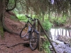 Schöner Trail an der Salm
