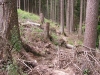 Nicht immer gut zu befahren, der Weg...