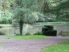 Weiher der Heidsmühle